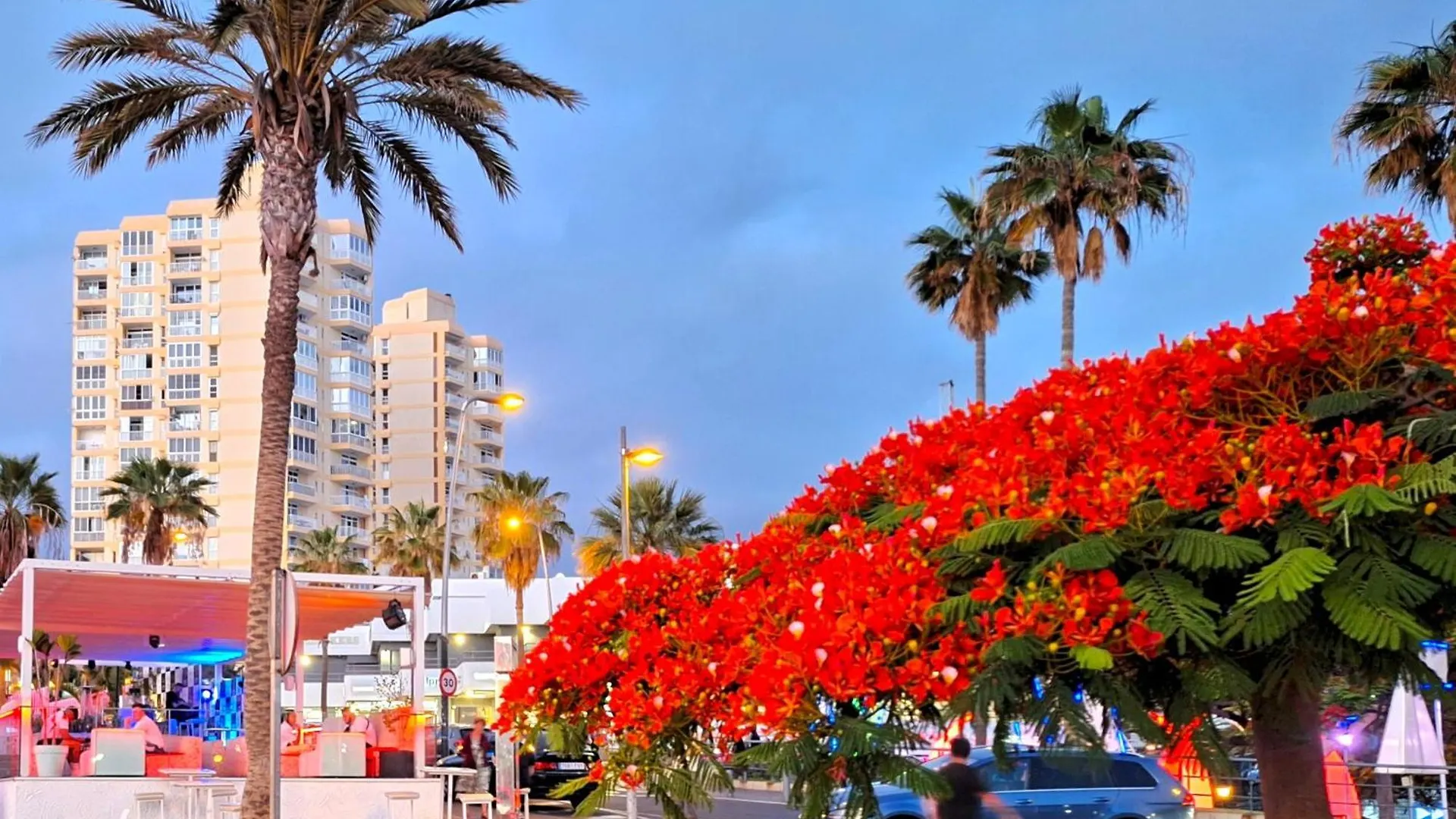 Ocean Panorama - Apartment In Playa de las Americas